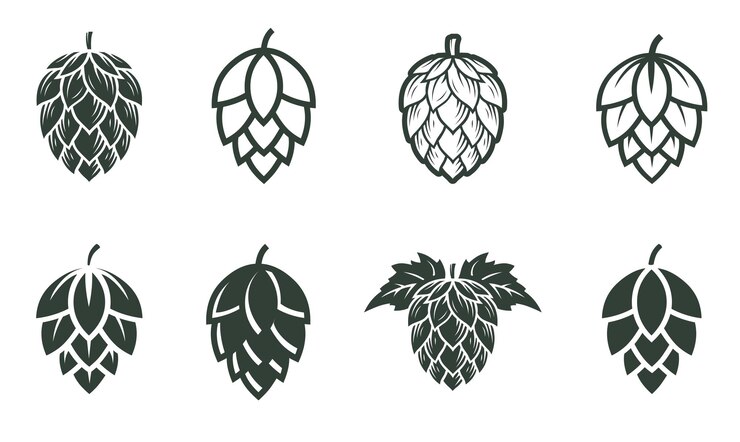 Vektor set von hopfenblüten silhouette von hopfen für bier-logo