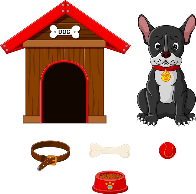 Set von hundezubehör