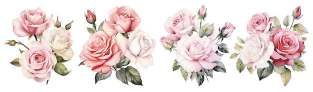 Set von rosa weißen Rosen Vintage Blumen Aquarell Vektor-Illustration