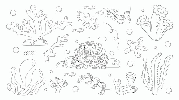 Set von seegras und unterwasserpflanzen handgezeichnetes doodle