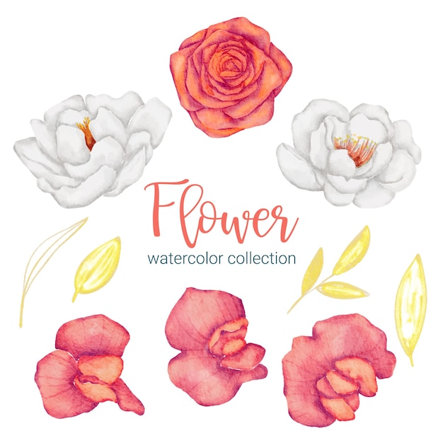 Set von separaten teilen und bringen sie zu einem schönen blumenstrauß in aquarellstil auf flacher vektorillustration auf weißem hintergrund zusammen