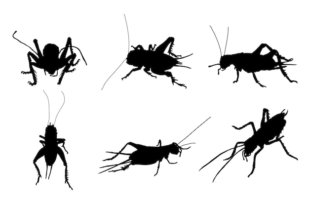 Set von Silhouetten von Grillen-Vektordesign
