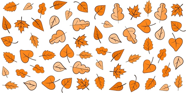 Set von Sommer-Herbst-Fall-Minimaldesign-Vektorblättern