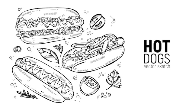 Vektor set von street food fast food hot dog classic und mit gemüsesoße ketchup handzeichnungsskizzen