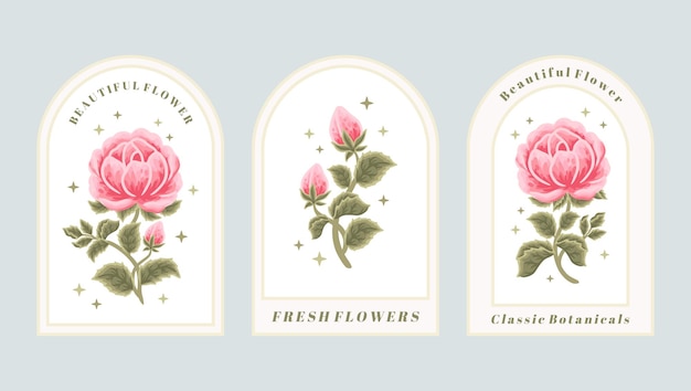 Set von vintage feminine beauty rose flower logo label-elementen mit rahmen