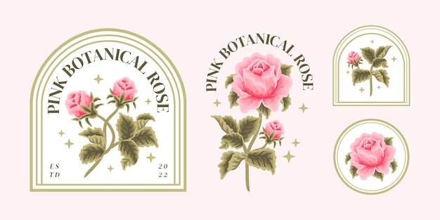 Set von Vintage-femininen Schönheitspastellrosa-Rosen-Blumenlogos und Etikettenelementen mit Blattzweig