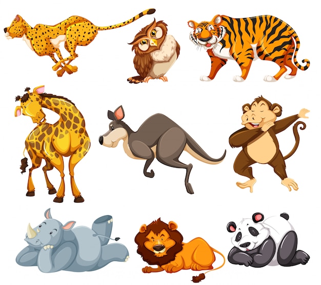 Set wilde Tiere