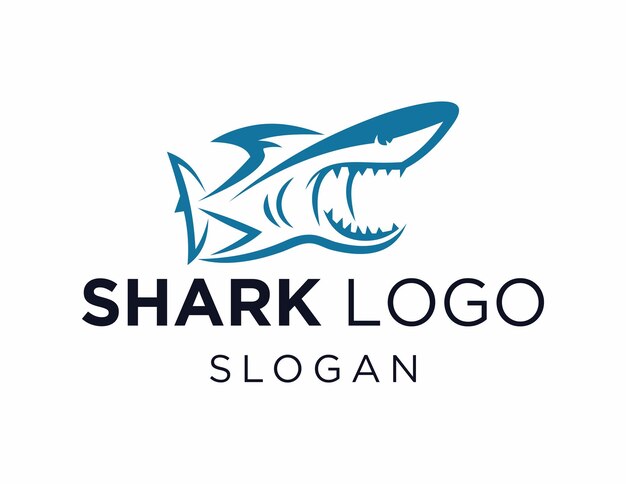Shark-Logo-Design