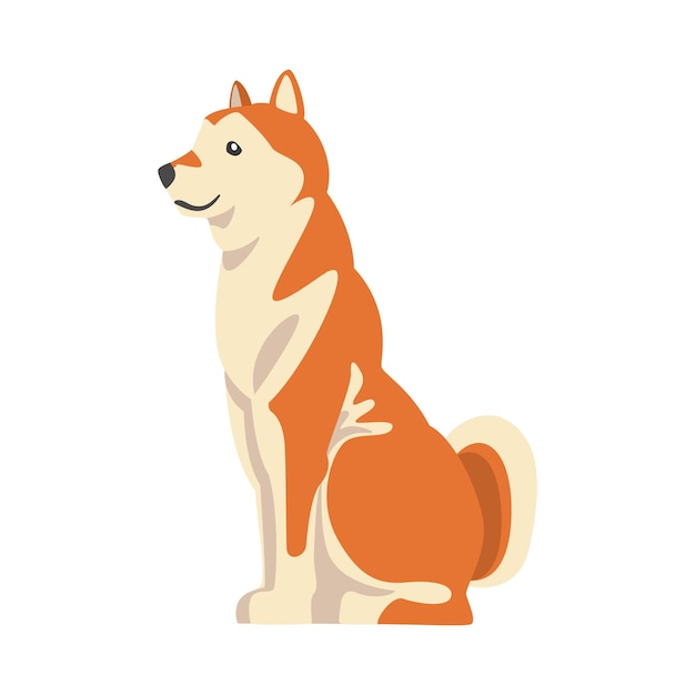 Shiba Inu als japanische Jagdhundrasse mit stacheligen Ohren und gekrümmtem Schwanz in sitzender Pose Vektorillustration
