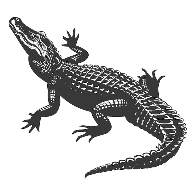 Vektor silhouette alligator tier schwarze farbe nur ganzer körper