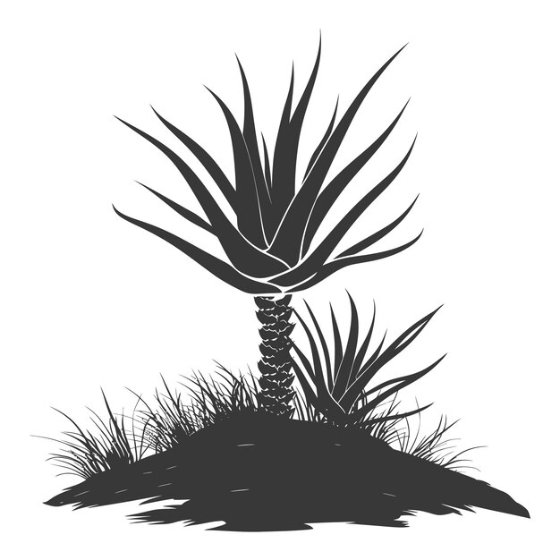 Vektor silhouette aloe vera baum im boden nur schwarze farbe