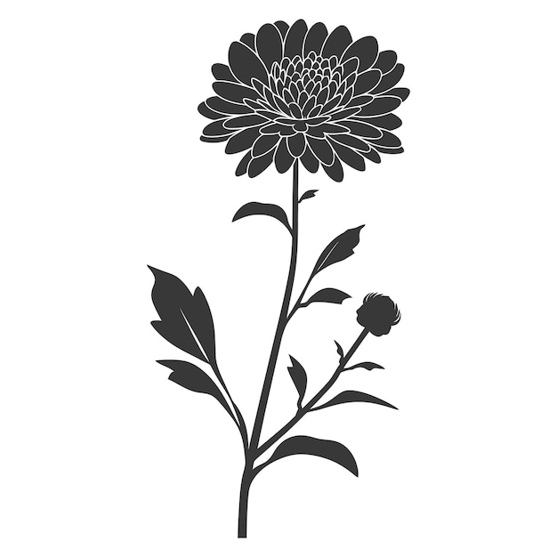 Vektor silhouette asterblume nur schwarze farbe