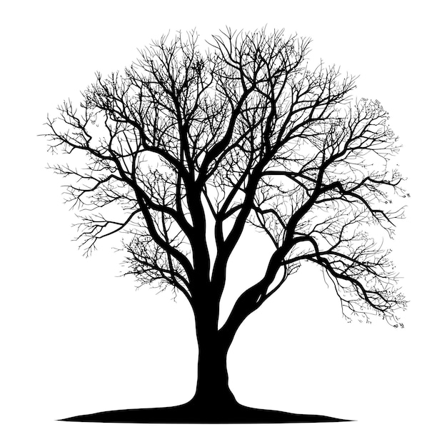 Vektor silhouette baum natur nur schwarze farbe