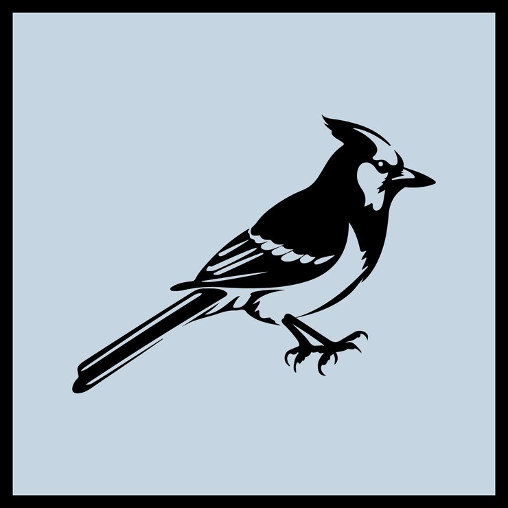 Vektor silhouette blue jay vector clipart vogel-silhouette
