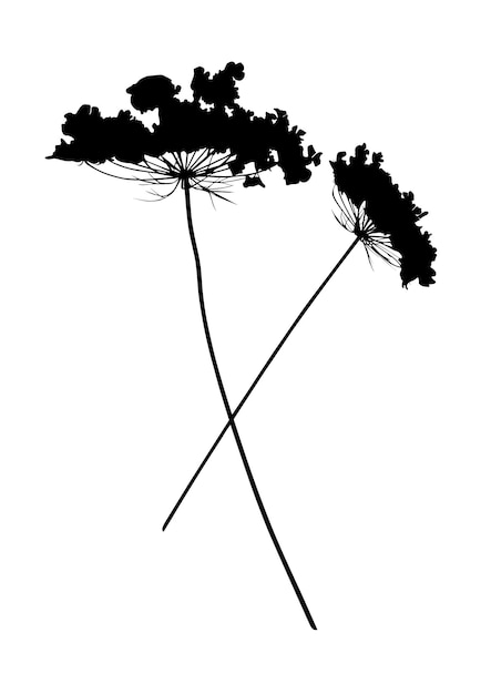 Silhouette Blume Pflanze isoliert auf weißem Hintergrund Vektor-Illustration im flachen Stil