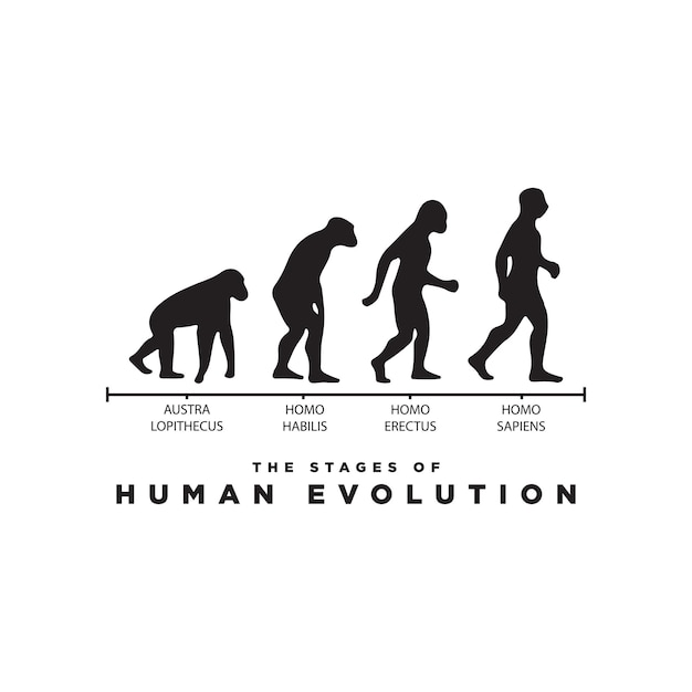 Vektor silhouette der menschlichen evolution, vektorgrafik