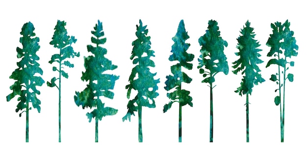 Silhouette des Kiefernfichten-Aquarell-Designvektors isoliert
