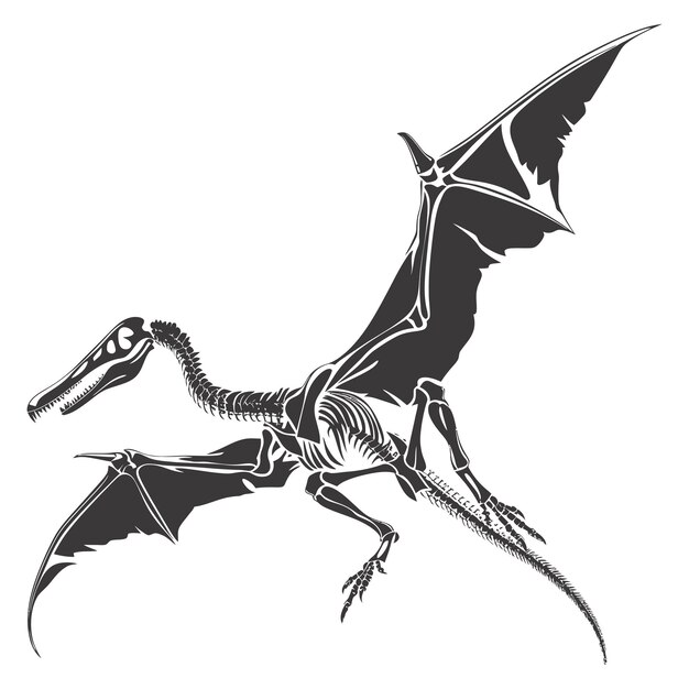 Vektor silhouette dinosaurier pterodactyl skelett nur schwarze farbe