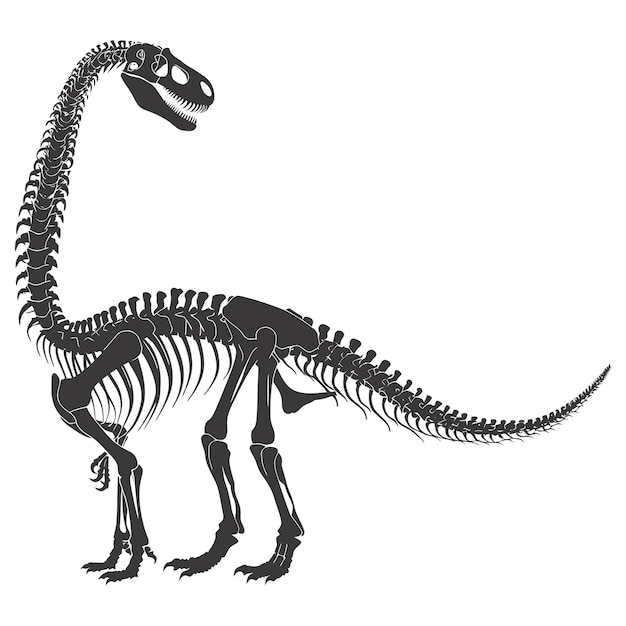 Vektor silhouette dinosaurier skelett nur schwarze farbe