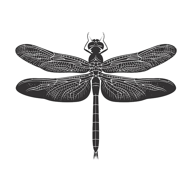 Silhouette Dragonfly schwarze Farbe nur Vollkörper