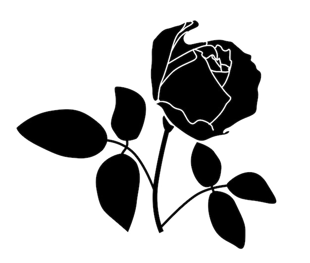 Vektor silhouette einer rosenknospe einer rosenblüte mit blättern