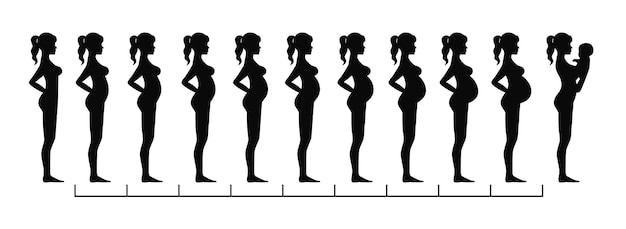 Silhouette einer schwangeren frau in den stadien der schwangerschaft
