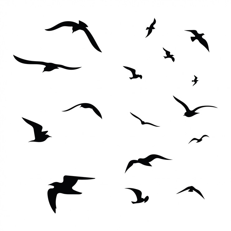 Silhouette eines Vogelschwarms. Schwarze Konturen fliegender Vögel. Fliegende Tauben.