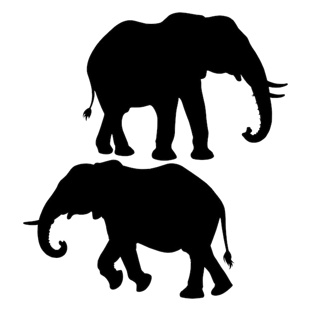 Vektor silhouette eines wilden elefanten auf weißem hintergrund