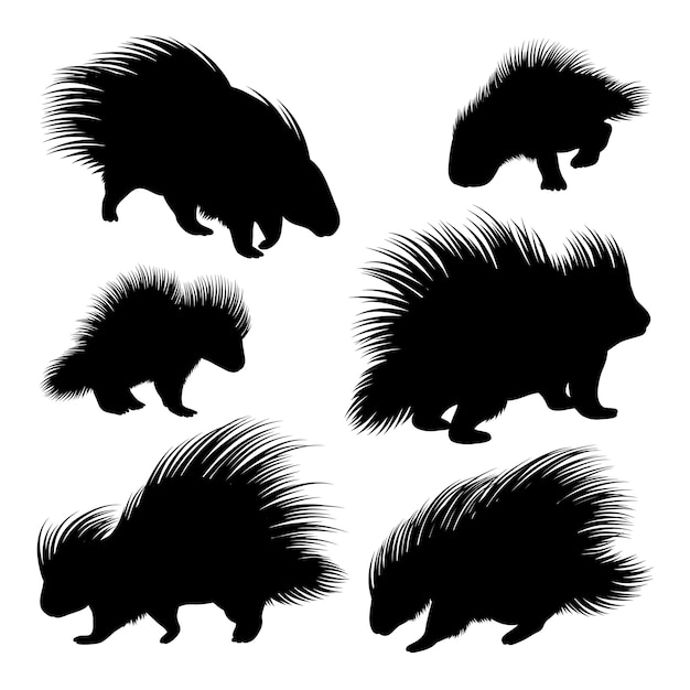 Vektor silhouette eines wilden tieres, ein stachelschwein