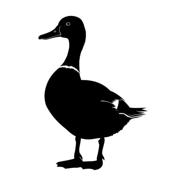 Vektor silhouette ente nur schwarze farbe