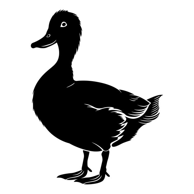 Vektor silhouette ente nur schwarze farbe