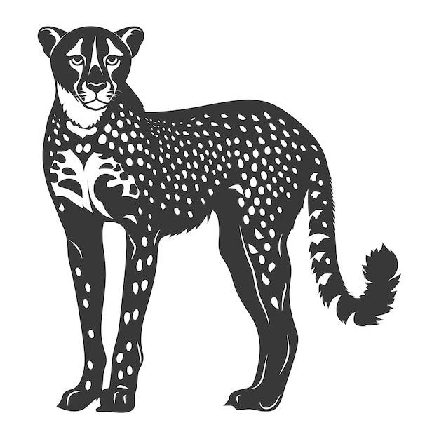 Vektor silhouette gepard tier schwarze farbe nur ganzer körper
