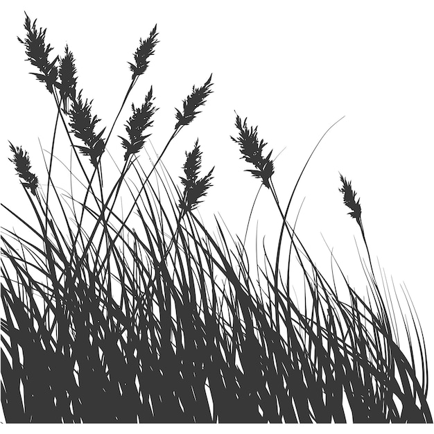 Silhouette gras natürliche pflanze als hintergrund nur schwarze farbe