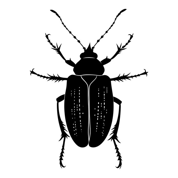Vektor silhouette insekt oder bug vollkörper nur schwarze farbe