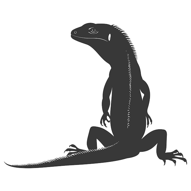 Silhouette Komodo Drache Reptil Tier schwarze Farbe nur Vollkörper