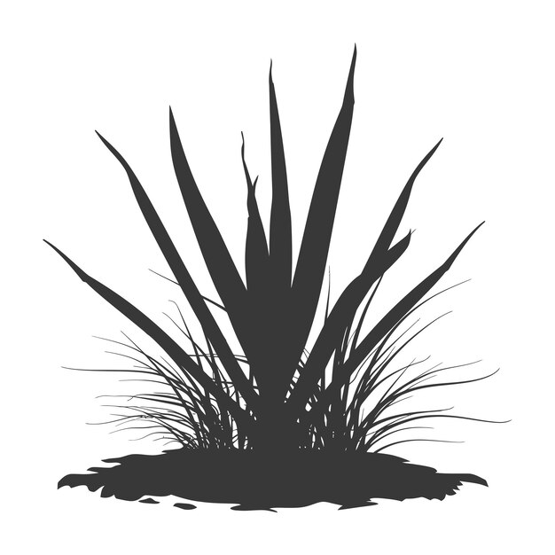 Vektor silhouette sansevieria baum im boden nur schwarze farbe