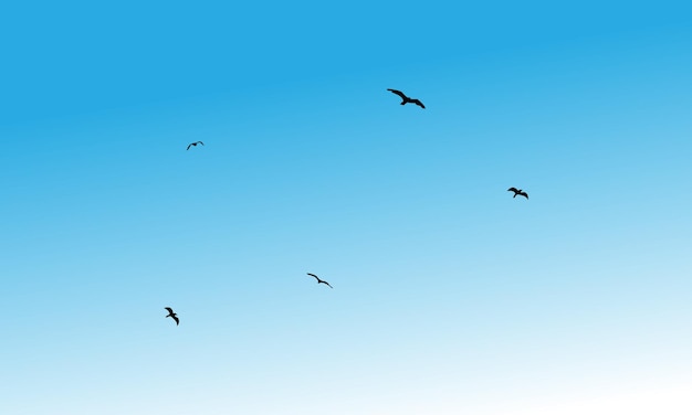 Silhouette und Illustration schwarzer fliegender Vögel