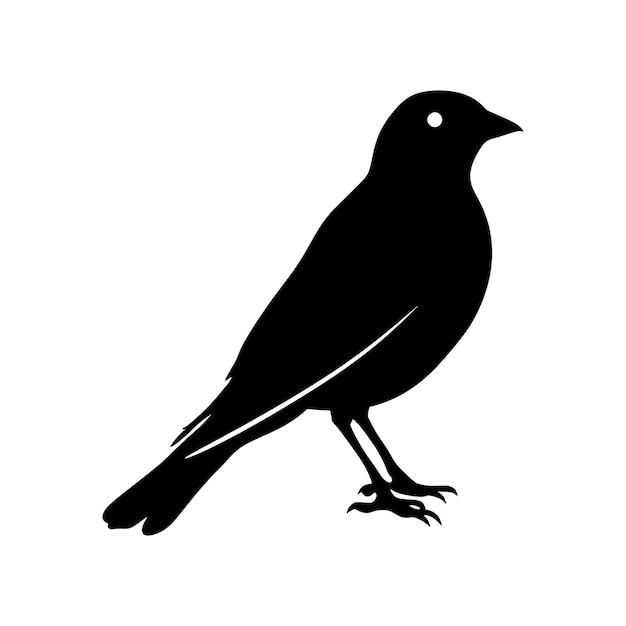 Silhouette vogel voller körper nur schwarze farbe