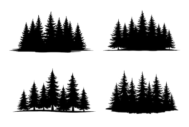Silhouette von Kiefern in einem Wald