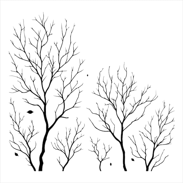 Silhouette von minimalen nackten baumzweigen toter baum isoliert auf weißem hintergrund