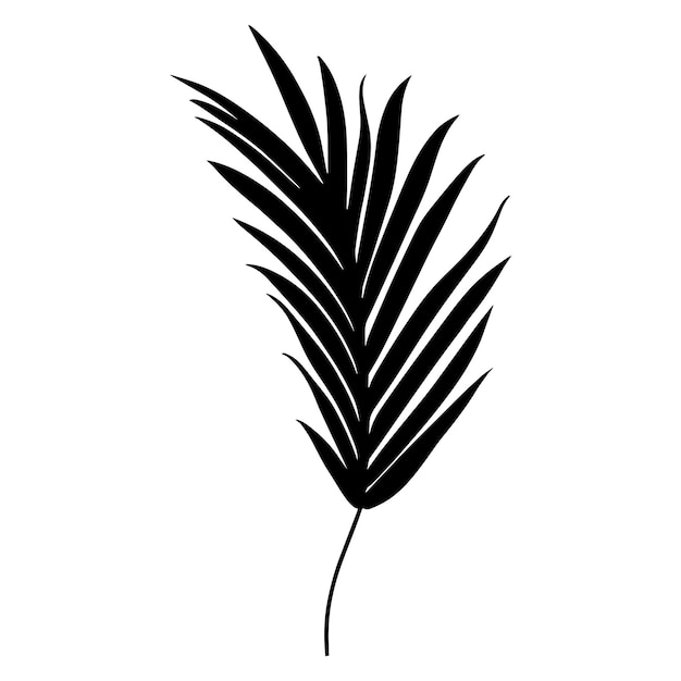 Silhouette von palmblättern vektorillustration