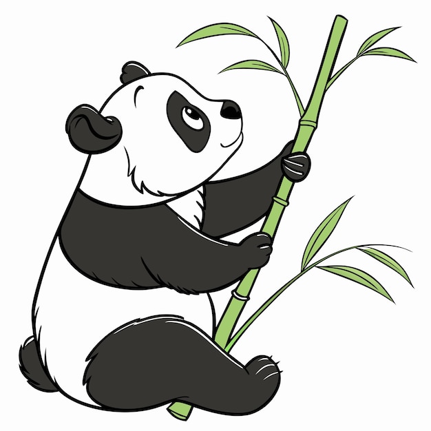 Silhouette von Panda-Vektor isolierter weißer Hintergrund