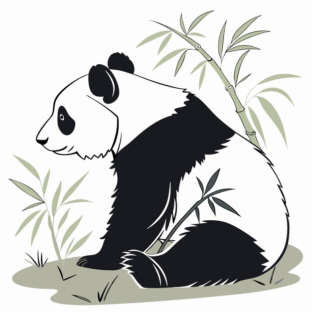 Silhouette von Panda-Vektor isolierter weißer Hintergrund