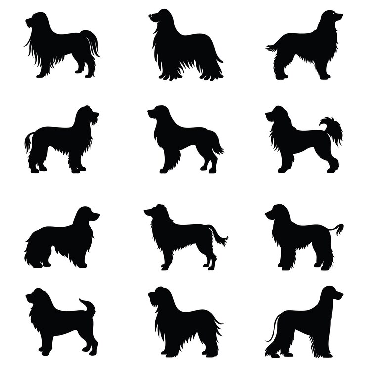 Vektor silhouetten des afghanischen hundes