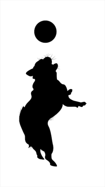 Silhouetten eines pug-hundes, der springt, um einen ball zu fangen