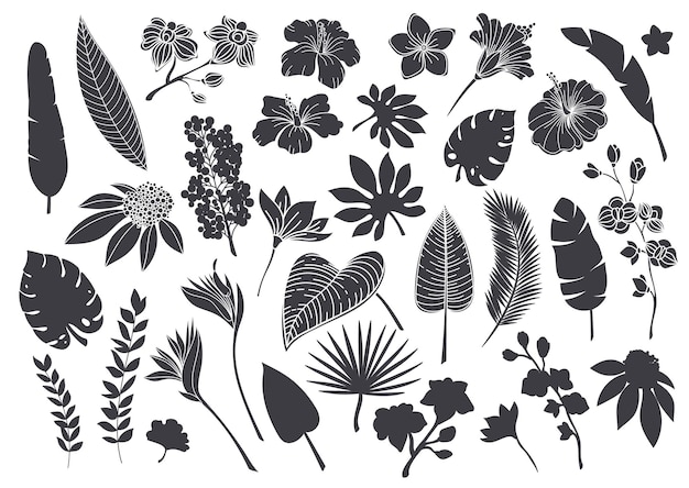 Silhouetten tropische Blätter und Blumen. Monochrome Glyphe Waldpalme Monstera Farn hawaiianische Blätter, Orchidee, Hibiskus, Plumeriablume. Pflanzen Sie tropische Elemente-Vektor-Illustration.