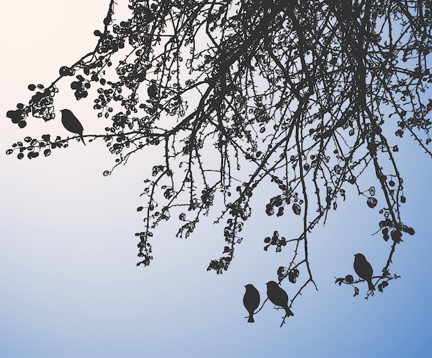Vektor silhouetten vögel auf ästen im morgenwald
