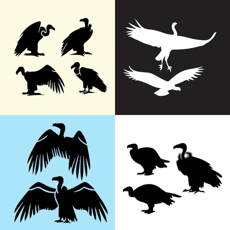 Vektor silhouetten von geiern