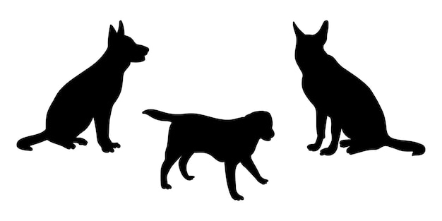 Vektor silhouetten von hunden in verschiedenen posen setzen silhouetten von tieren
