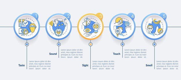 Sinne der sensorischen branding-kreis-infografik-vorlage